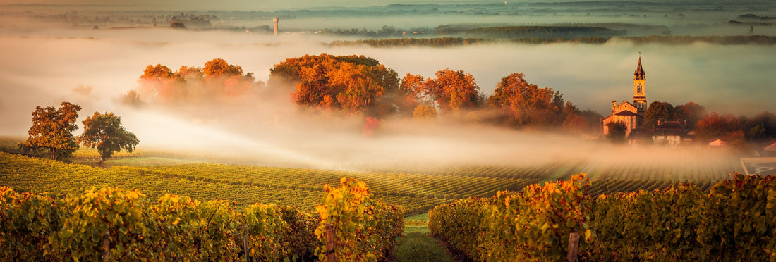 Bordeaux 2023 Vintage Report