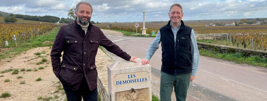 Burgundy 2023 En Primeur: The Critics