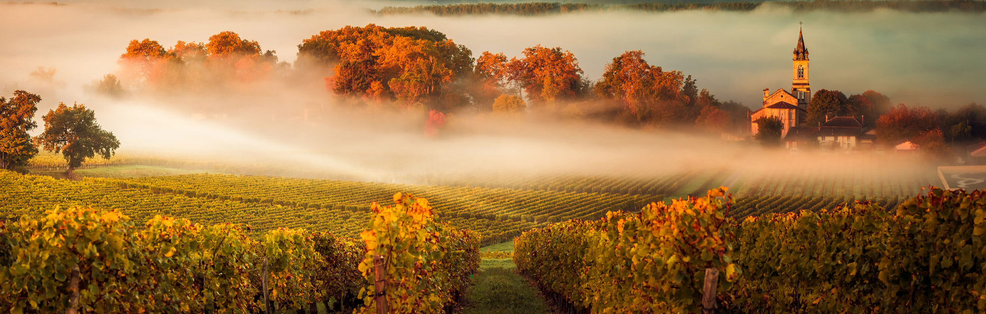 Bordeaux 2022 En Primeur Vintage Report Honest Grapes