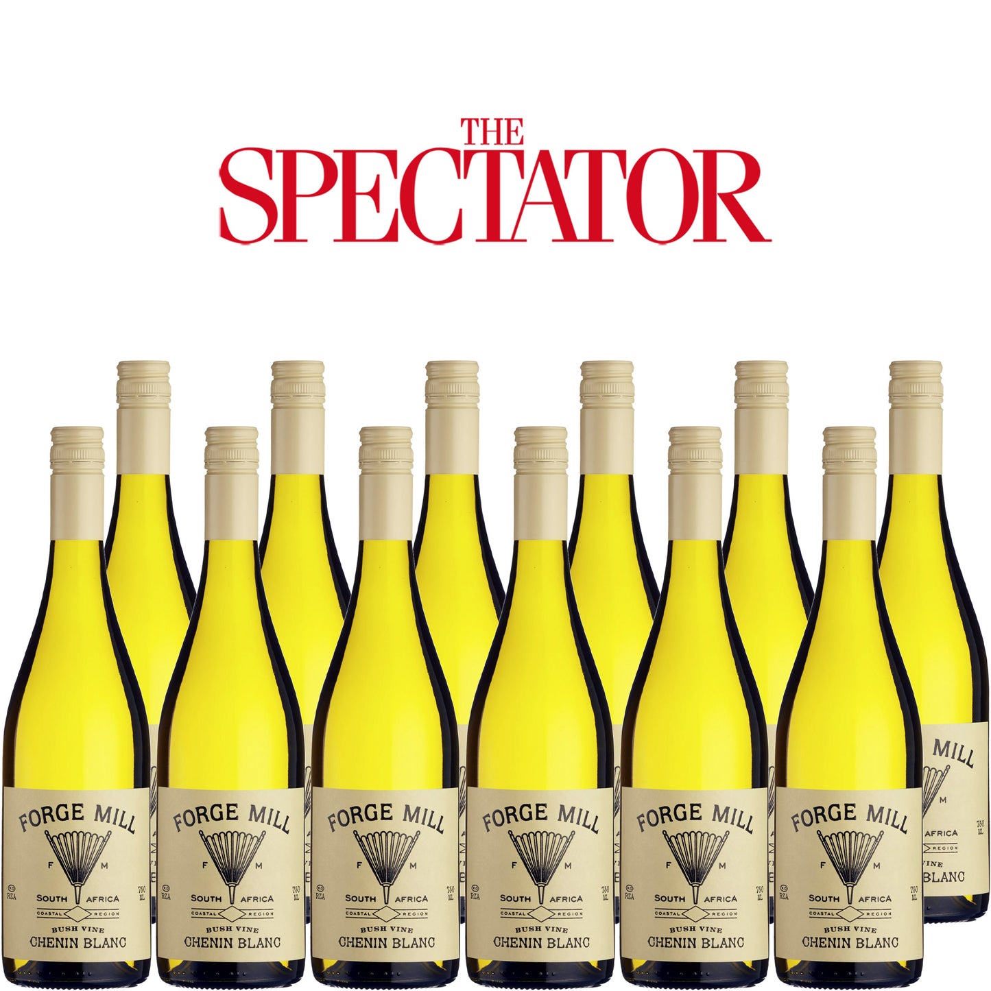 Spectator Wine Club - 12x Forge Mill, Bush Vine Chenin Blanc, 2022