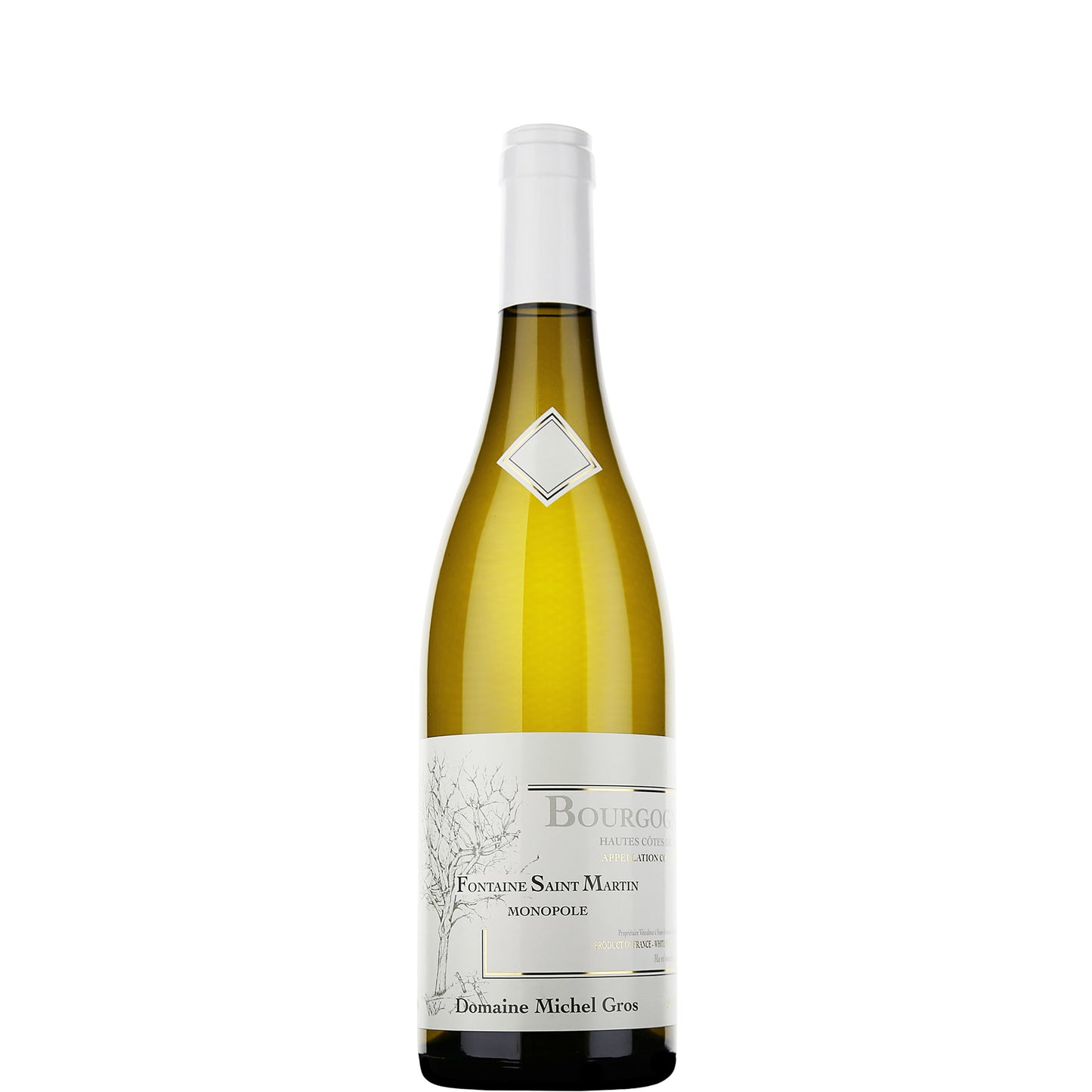 Hautes Côte de Nuits Blanc Fontaine Saint Martin, Domaine Michel Gros, 2023